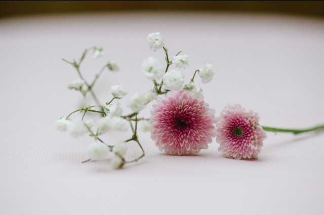 Trockenblumen einzeln